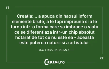 Creatia:... a apuca din haosul inform el...