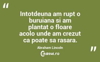Intotdeuna am rupt o buruiana si am plantat o floare acolo unde am crezut ca poate sa rasara. Abraham Lincoln...