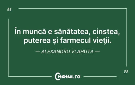 În muncă e sănătatea, cinstea, puter...