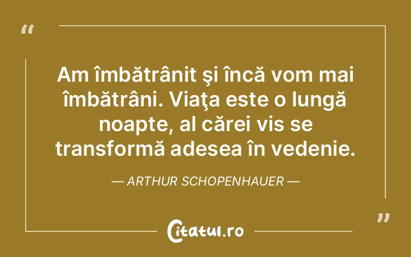 Citat Arthur Schopenhauer - citate motivationale