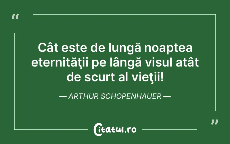 Citat Arthur Schopenhauer - citate motivationale