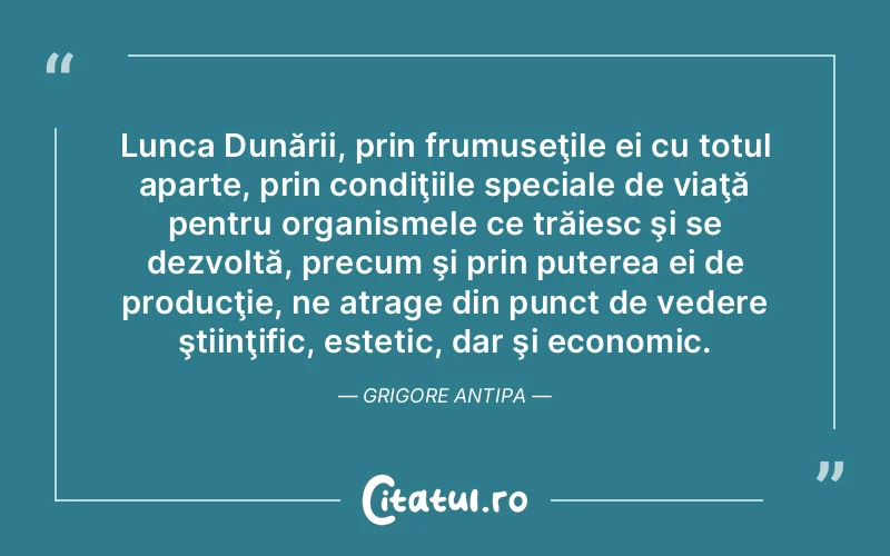 Citat Autor necunoscut - citate motivationale