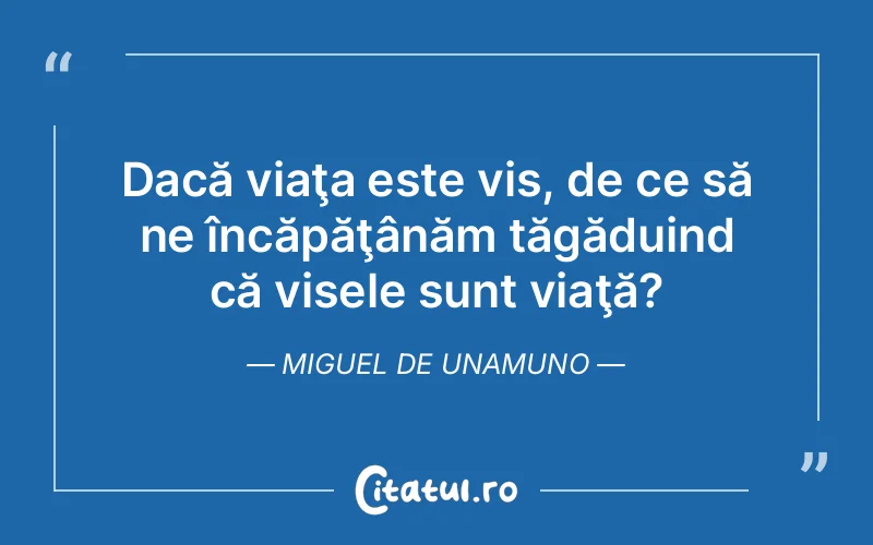 Citat Autor necunoscut - citate motivationale