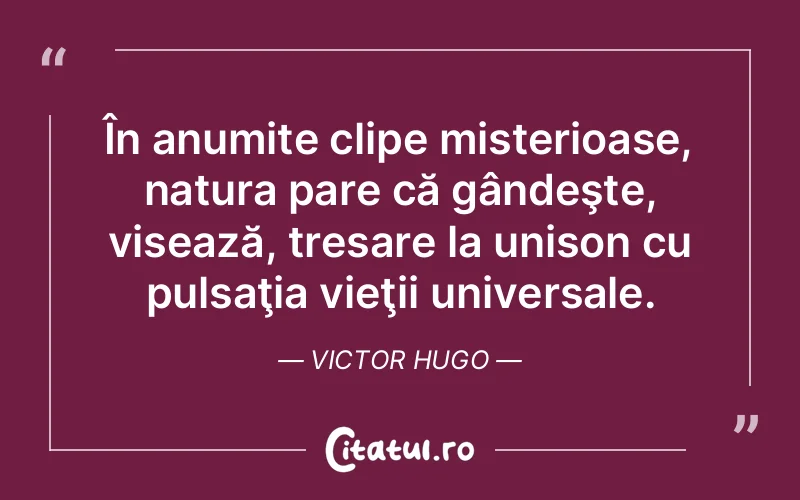 Citat Victor Hugo - citate motivationale