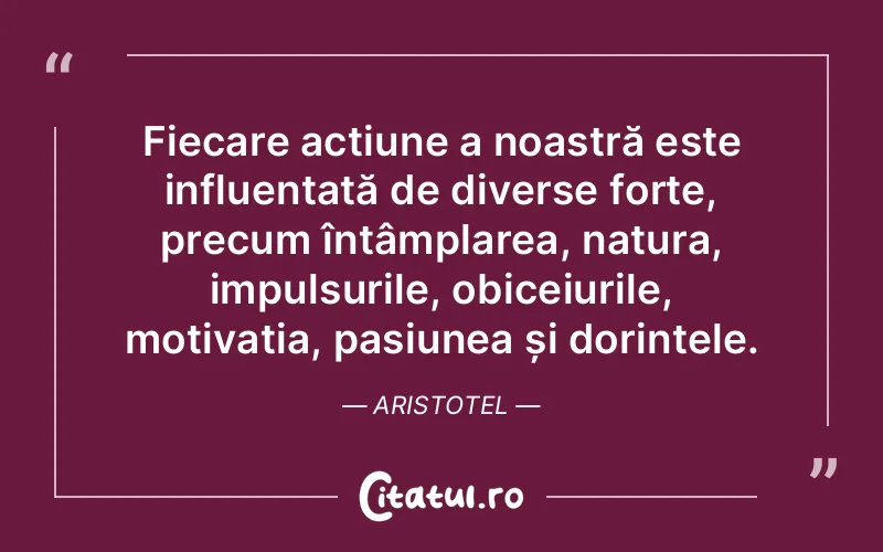 Citat Aristotel - citate motivationale