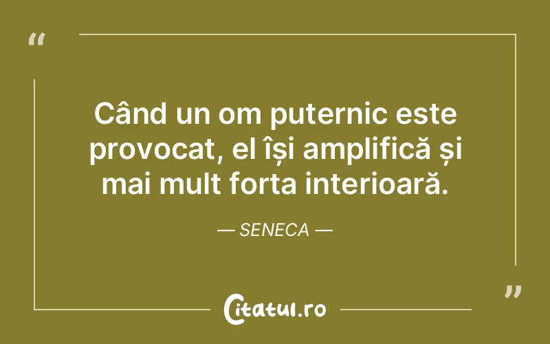 Citat Seneca - citate motivationale
