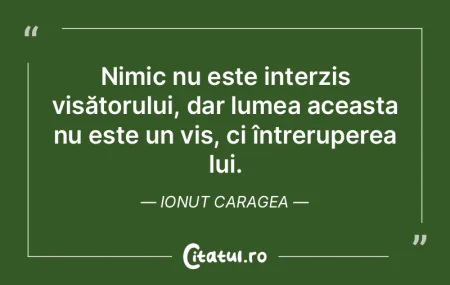 Nimic nu este interzis visătorului, dar... Nimic nu este interzis visătorului, dar...