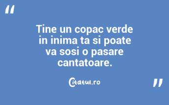 Tine un copac verde in inima ta si poate va sosi o pasare cantatoare. ...