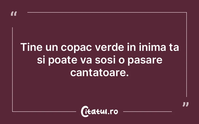 Tine un copac verde in inima ta si poate va sosi o pasare cantatoare.