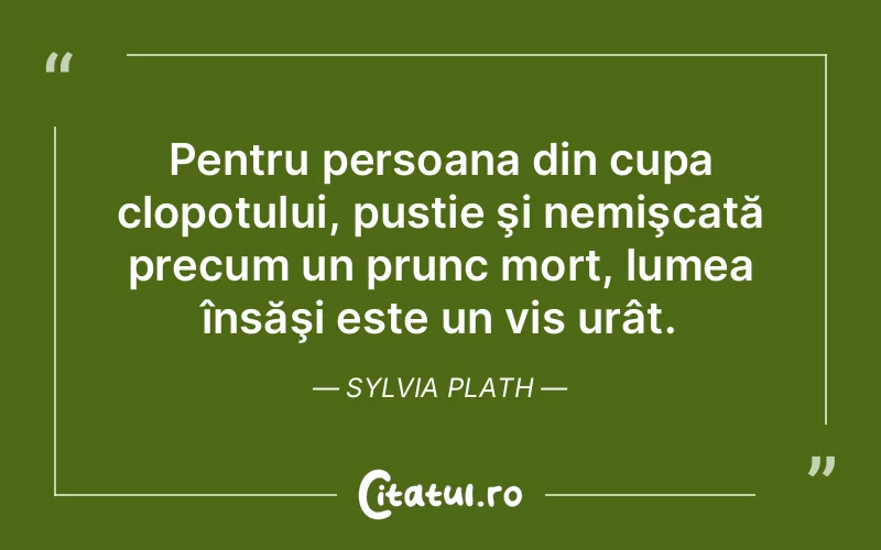Citat Sylvia Plath - citate motivationale