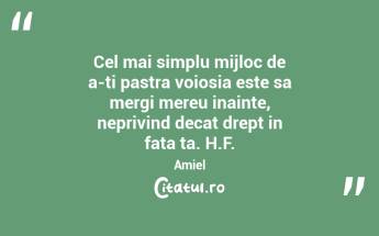Cel mai simplu mijloc de a-ti pastra voiosia este sa mergi mereu inainte, neprivind decat drept in fata ta. H.F. Amiel...