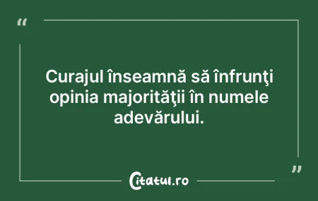 Curajul înseamnă să înfrunţi opinia...