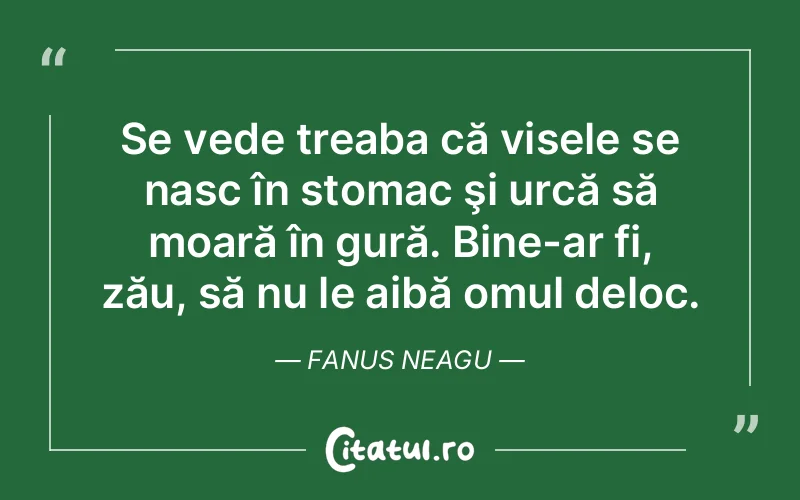 Citat Fanus Neagu - citate motivationale