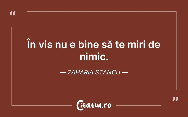 Citat Zaharia Stancu - citate motivationale