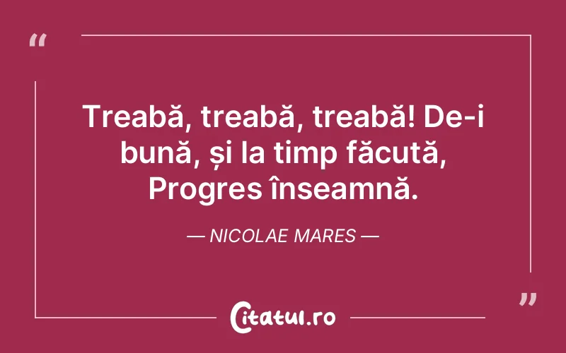 Citat Nicolae Mares - citate motivationale