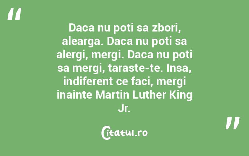 Daca nu poti sa zbori, alearga. Daca nu poti sa alergi, mergi. Daca nu poti sa mergi, taraste-te. Insa, indiferent ce faci, mergi inainte Martin Luther King Jr.