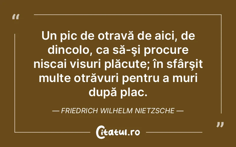 Citat Friedrich Wilhelm Nietzsche - citate motivationale