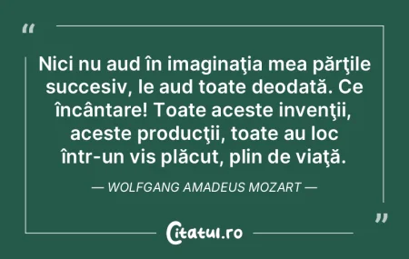 Nici nu aud în imaginaţia mea părţil... Nici nu aud în imaginaţia mea părţil...