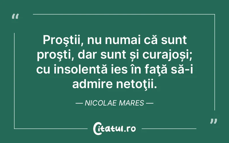 Citat Nicolae Mares - citate motivationale