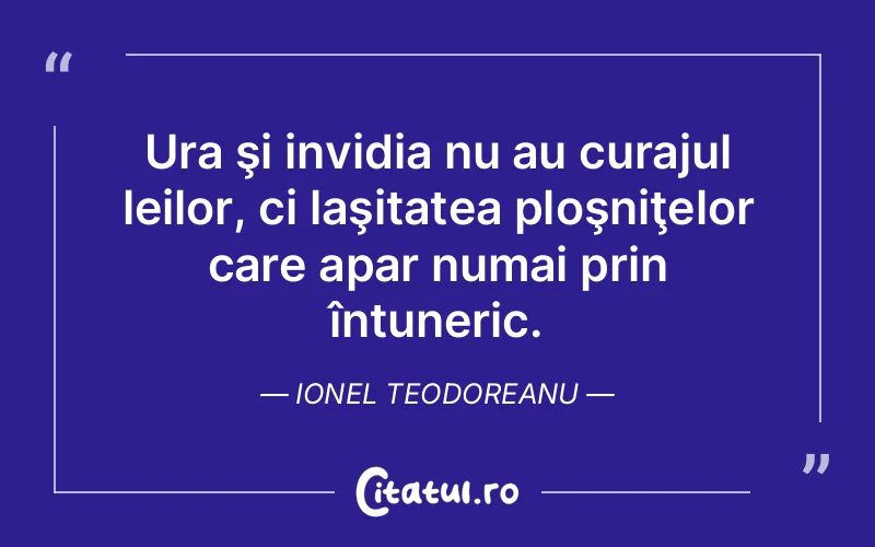 Citat Ionel Teodoreanu - citate motivationale