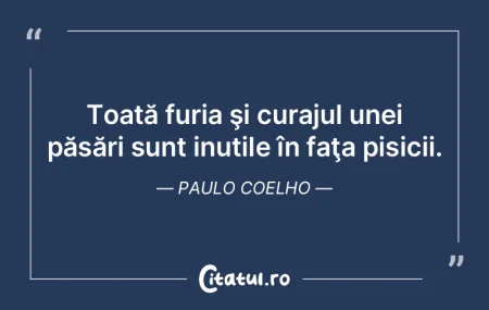 Toată furia şi curajul unei păsări s... Toată furia şi curajul unei păsări s...