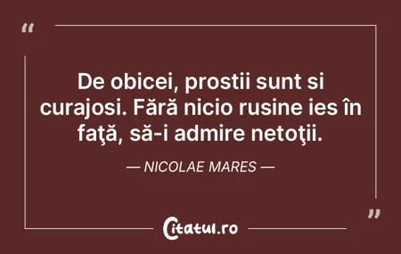 De obicei, proștii sunt și curajoși. ... De obicei, proștii sunt și curajoși. ...