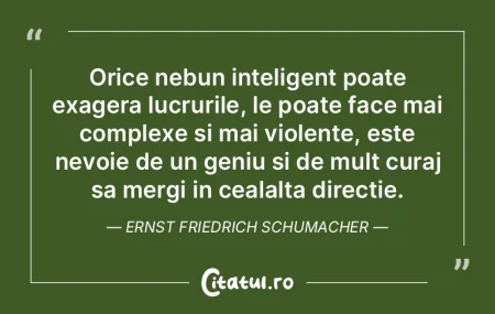 Orice nebun inteligent poate exagera luc... Orice nebun inteligent poate exagera luc...