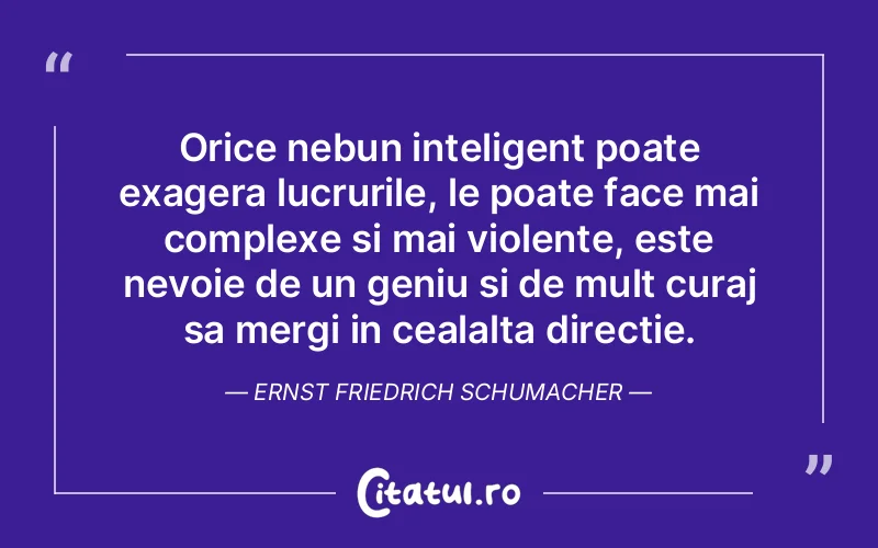 Citat Ernst Friedrich Schumacher - citate motivationale
