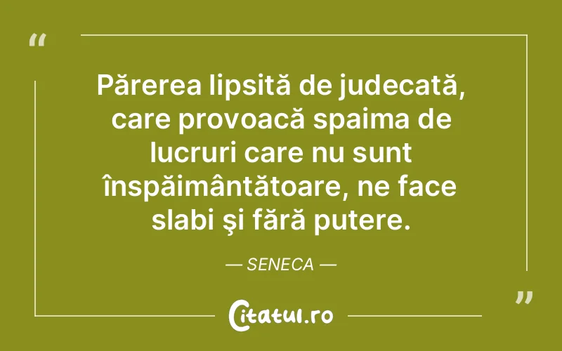 Citat Seneca - citate motivationale