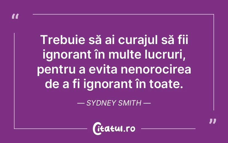 Citat Sydney Smith - citate motivationale