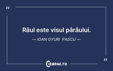 Râul este visul pârâului. Ioan Gyuri ...