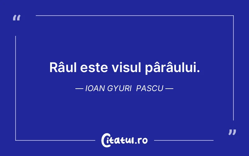 Citat Ioan Gyuri Pascu - citate motivationale