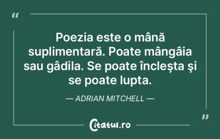 Poezia este o mână suplimentară. Poat...