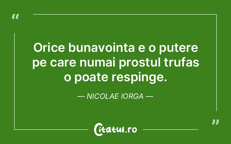 Citat Nicolae Iorga - citate motivationale