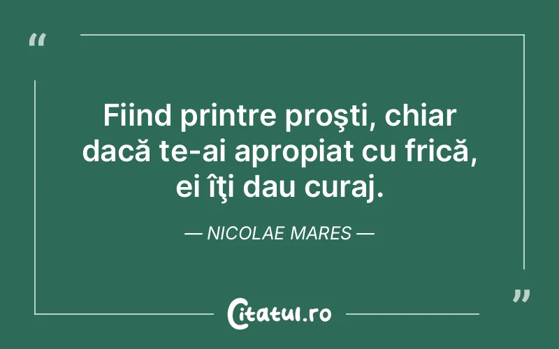 Citat Nicolae Mares - citate motivationale