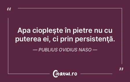 Apa ciopleşte în pietre nu cu puterea ... Apa ciopleşte în pietre nu cu puterea ...