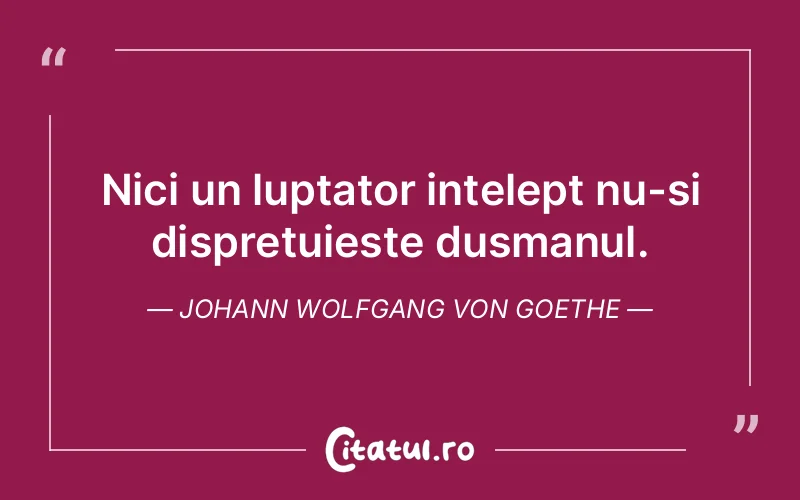 Nici un luptator intelept nu-si dispretuieste dusmanul. Johann Wolfgang von Goethe
