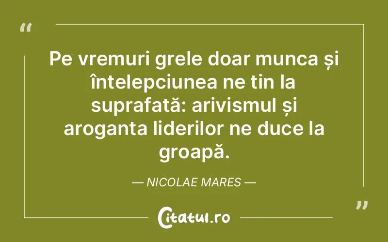 Citat Nicolae Mares - citate motivationale