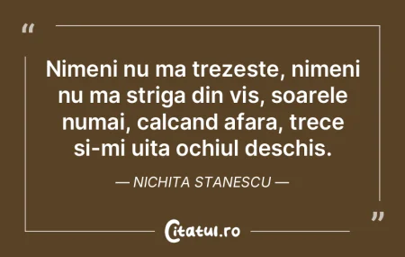 Nimeni nu ma trezeste, nimeni nu ma stri... Nimeni nu ma trezeste, nimeni nu ma stri...
