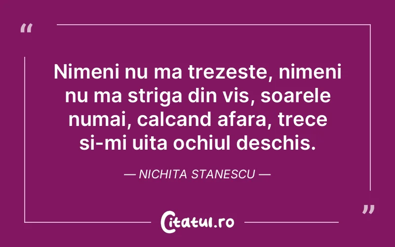 Citat Nichita Stanescu - citate motivationale