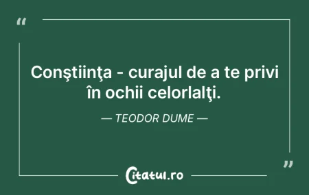Conştiinţa - curajul de a te privi în... Conştiinţa - curajul de a te privi în...