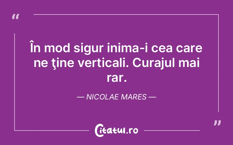 Citat Nicolae Mares - citate motivationale