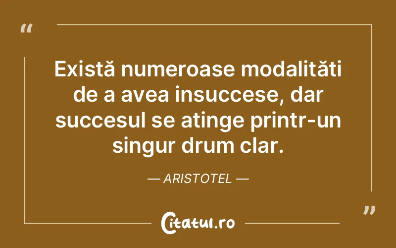 Există numeroase modalități de a avea insuccese, dar succesul se atinge printr-un singur drum clar. Aristotel