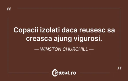 Copacii izolati daca reusesc sa creasca ... Copacii izolati daca reusesc sa creasca ...