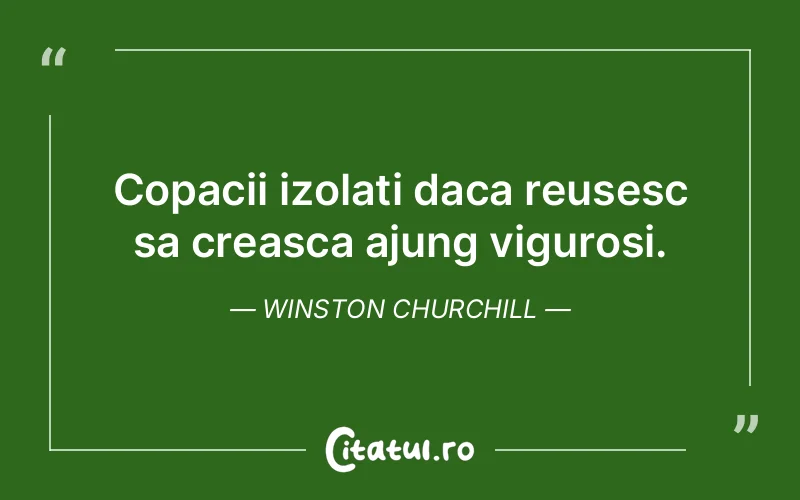 Citat Winston Churchill - citate motivationale