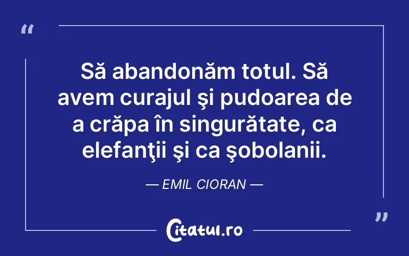 Citat Emil Cioran - citate motivationale