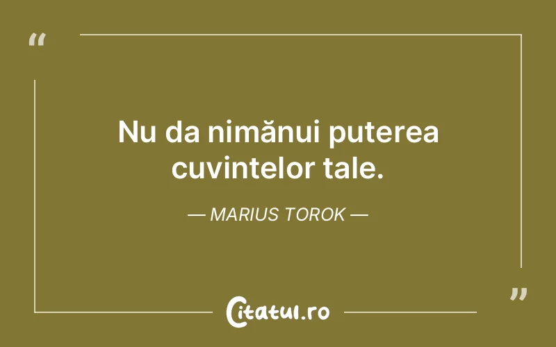 Citat Marius Torok - citate motivationale