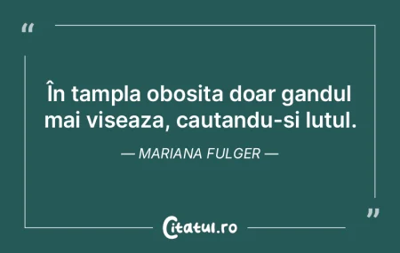 În tampla obosita doar gandul mai visea... În tampla obosita doar gandul mai visea...