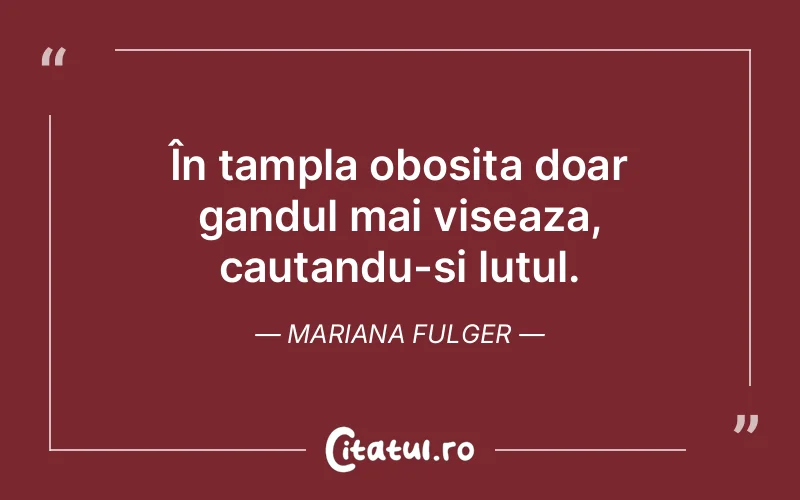 Citat Mariana Fulger - citate motivationale