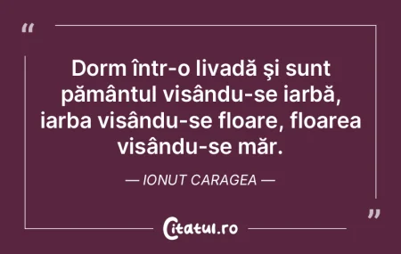 Dorm într-o livadă şi sunt pământul... Dorm într-o livadă şi sunt pământul...